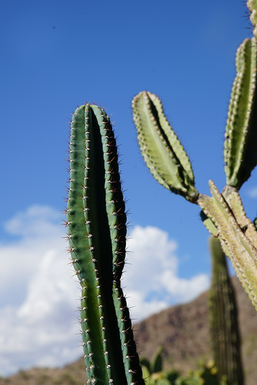 買哪個(gè)好？終極PK：微單和單反誰出色？