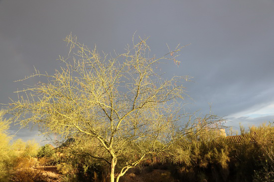 買哪個(gè)好？終極PK：微單和單反誰出色？