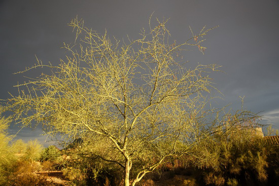 買哪個(gè)好？終極PK：微單和單反誰出色？