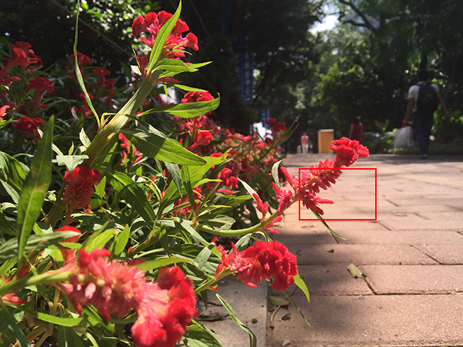 拍照差別大嗎？iPhone 6s Plus對比iPhone 6 Plus