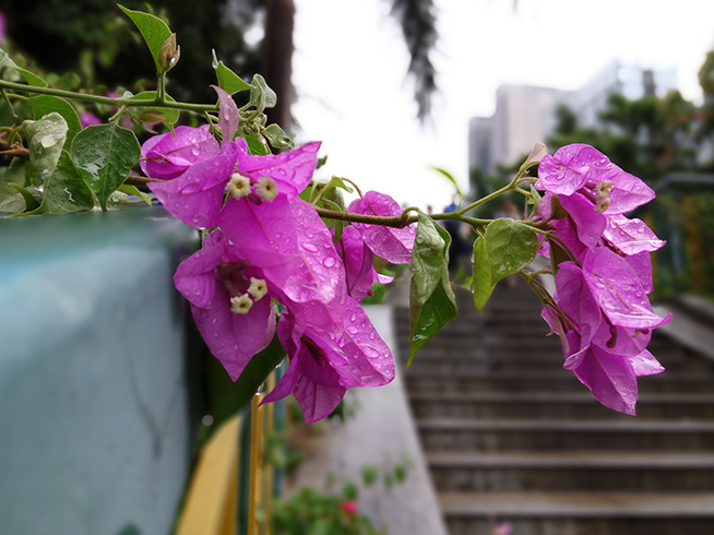 奇酷手機(jī)青春版評測 千元金屬機(jī)也有指紋識別