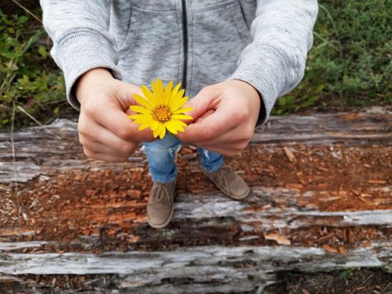 世界第二強！華為Nexus 6P拍照完勝蘋果iPhone 6