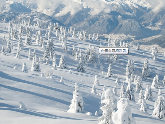 透過(guò)寒冬期的O2O，看O2O的演化