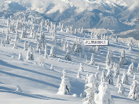 透過寒冬期的O2O，看O2O的演化