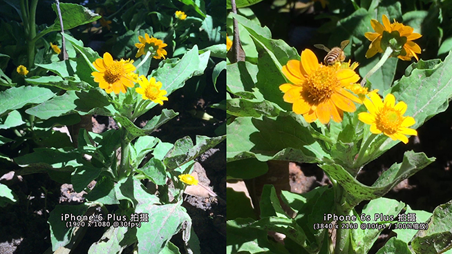 光學防抖性能激增：iPhone 6s Plus/6 Plus視頻對比