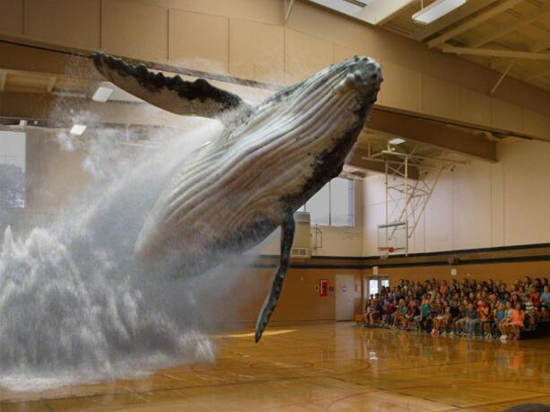 尖叫起來吧！3D虛實(shí)化即將走進(jìn)現(xiàn)實(shí)