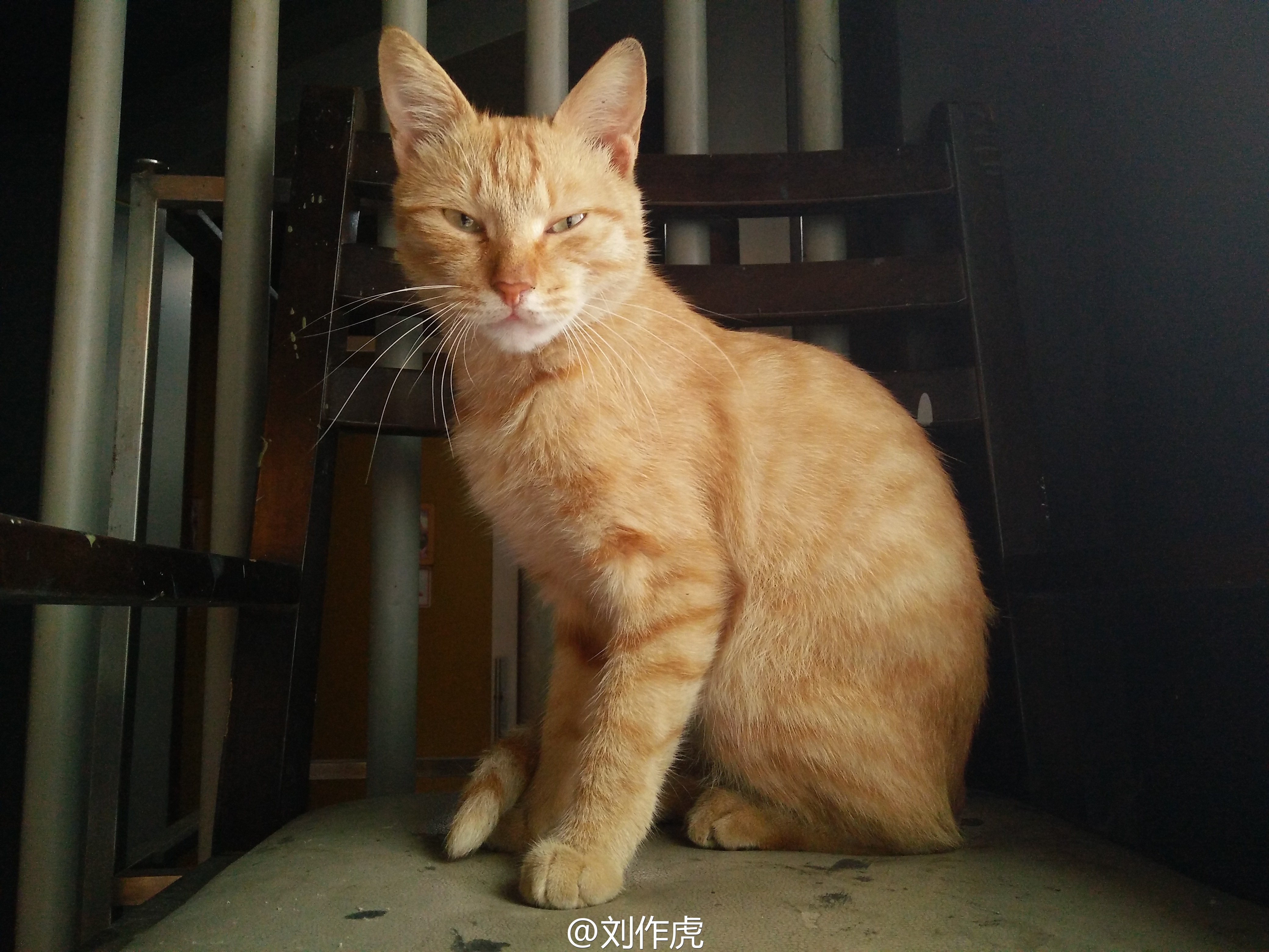 一加X樣張首曝光，跟紅米/魅藍比如何？