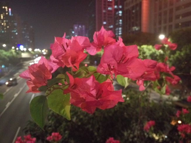 繼承夢(mèng)想的旗艦之作？魅族PRO 5體驗(yàn)評(píng)測(cè)