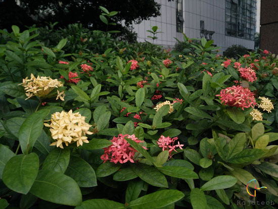 OPPO R7s深度玩：充得快+好體驗