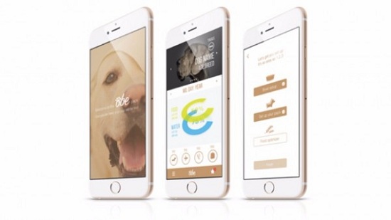 ProBowl智能飯盆：狗狗飲食也要監(jiān)控！