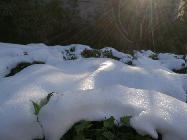 從黑馬到實(shí)力派 華為Mate 8體驗(yàn)評(píng)測(cè)