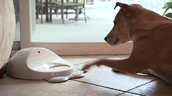 視頻：你需要什么智能產(chǎn)品？或許這里有你想要的