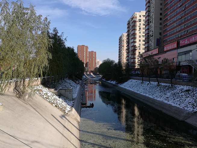 比想象中更給力，華為Mate 8拍攝評測