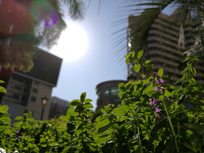 比想象中更給力，華為Mate 8拍攝評測