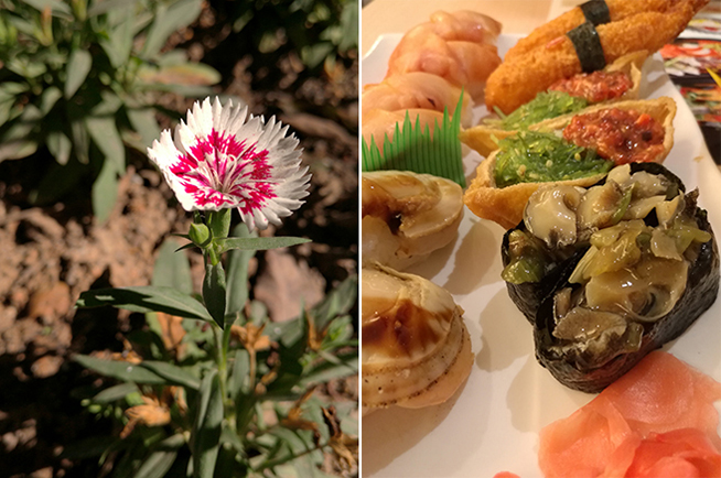 比想象中更給力，華為Mate 8拍攝評測