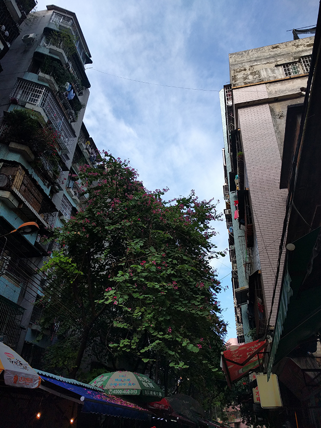 當親兒子也得要看氣質(zhì) Nexus 6P體驗評測