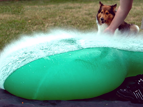 視頻：iPhone 6s Plus與大波波對戰(zhàn)，誰會贏？