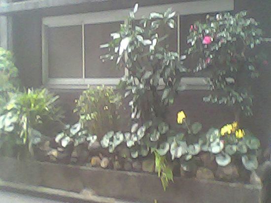 相機(jī)or玩具？日本推出6mm厚超薄紙板相機(jī)