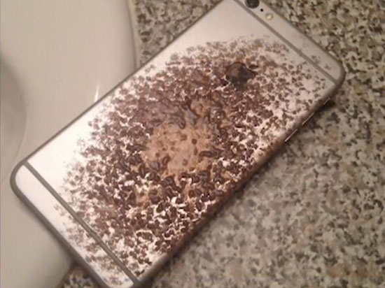 iPhone 6 Plus充電又起火 蘋果承諾換新機(jī)