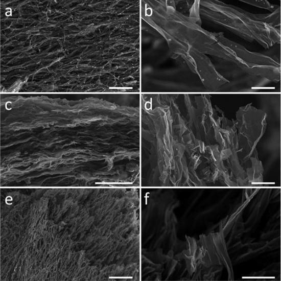 用蘑菇做電池：很環(huán)保，還能自己增加“電量”