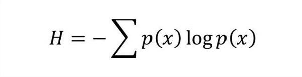 致最美的語言：細數改變世界的17個方程