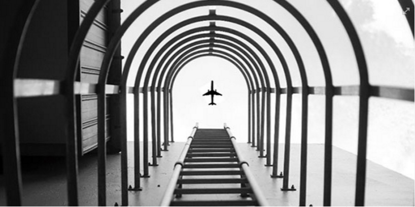 1.png PS照片獲尼康攝影大賽大獎 遭網(wǎng)友狂調(diào)侃