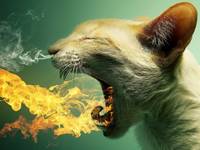 聯(lián)發(fā)科Helio X20被曝過熱 小米HTC碰上麻煩