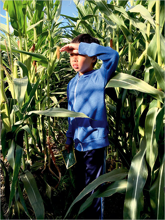 強調(diào)瞬間美，iPhone 6s照片全球作品廊即將開啟