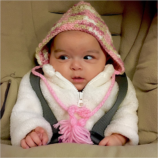 強調(diào)瞬間美，iPhone 6s照片全球作品廊即將開啟