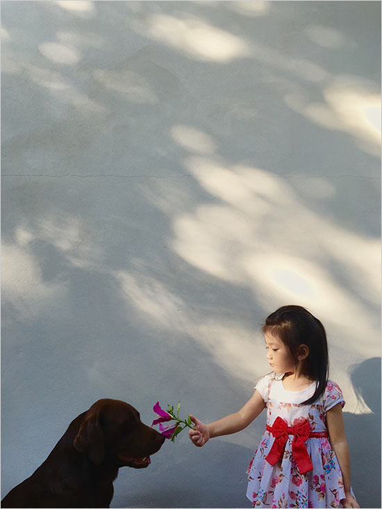 強調(diào)瞬間美，iPhone 6s照片全球作品廊即將開啟