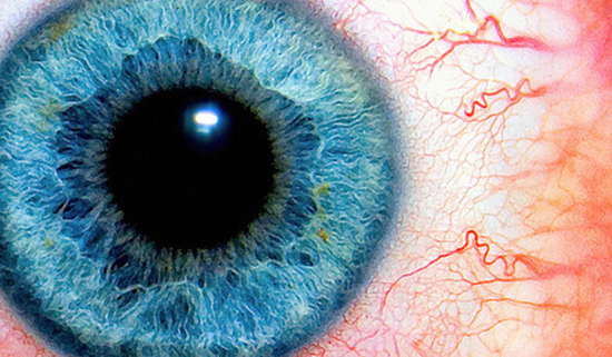 2.5億像素相機很牛？比起眼睛還是弱爆了