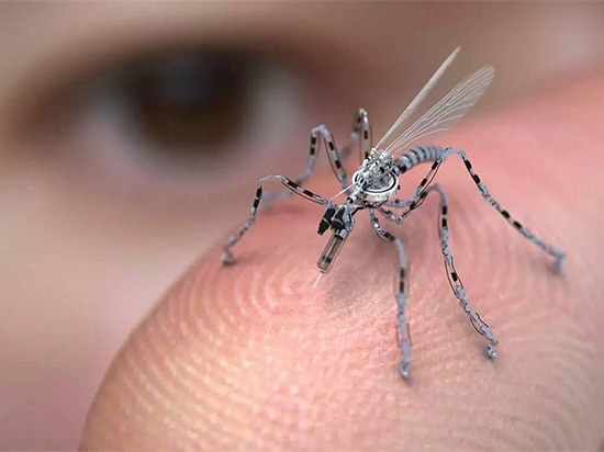 生活科學(xué)小知識(shí)：把討厭的蚊子徹底消滅真的好嗎？