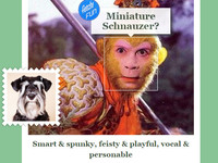 情人節(jié)將至，微軟的這款應(yīng)用或能幫你找到另一半