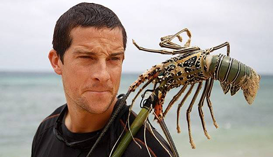 掉在地上的食物能吃嗎？究竟“5秒法則”靠不靠譜