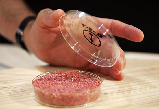 30年后的世界真美好：人人都是百萬富翁