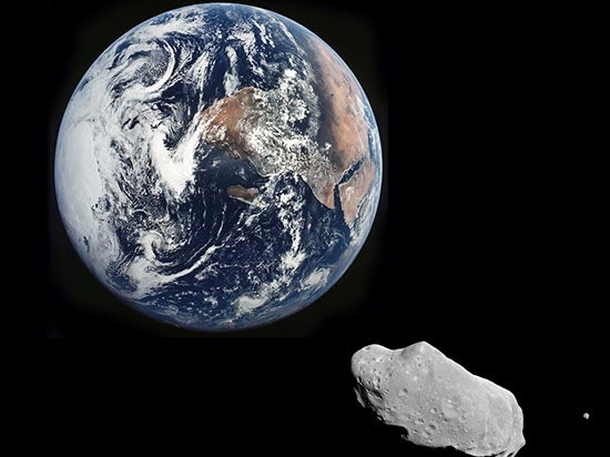 我們會被小行星撞擊毀滅嗎？還是擔心你身邊的狗狗吧