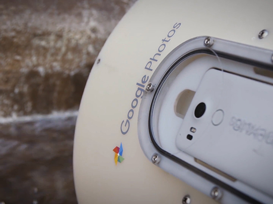 視頻：Google將手機扔給動物自拍 結(jié)果動物們懵了