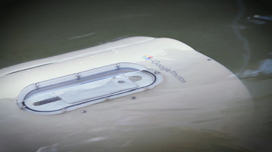 視頻：Google將手機扔給動物自拍 結(jié)果動物們懵了