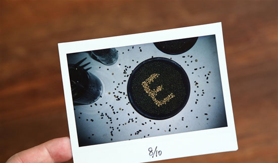 科客晚報(bào):魅族又要開發(fā)布會(huì) 紅米4或?yàn)闊o邊框設(shè)計(jì)