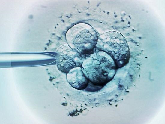 皮膚造人將實現(xiàn)？！生殖不再需要OOXX