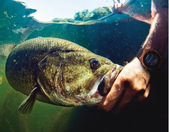 卡西歐智能手表正式開賣：樣子挺酷但價(jià)格不便宜