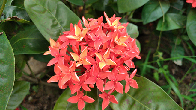 nubia Z11 mini測評體驗(yàn)：依然小而美