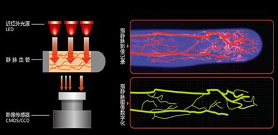 杜絕槍手！高考將引入“指靜脈識(shí)別”技術(shù)