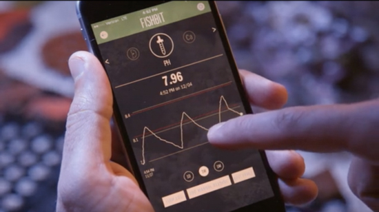 養(yǎng)魚怕麻煩？請個(gè)智能“專家”來幫你吧