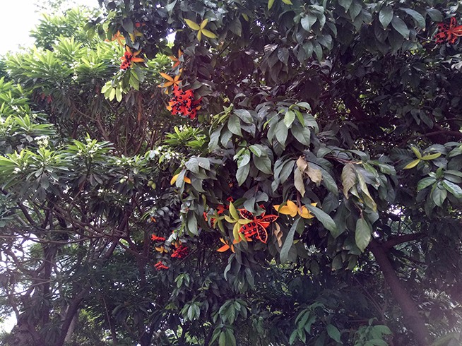 魅藍(lán)3s上手體驗(yàn) 多了不止一點(diǎn)點(diǎn)