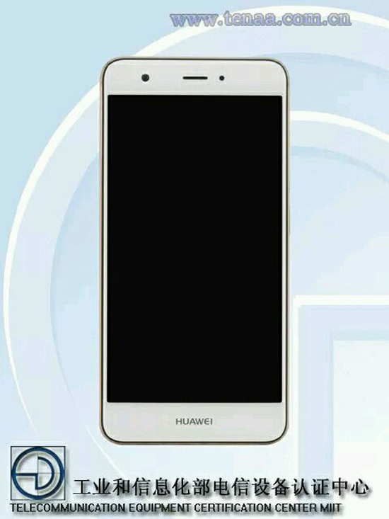 華為新機放棄雙攝？外觀神似谷歌Nexus 6P