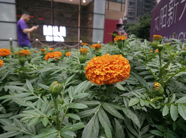 全面升級千元最強(qiáng) 魅藍(lán)note3體驗(yàn)評測