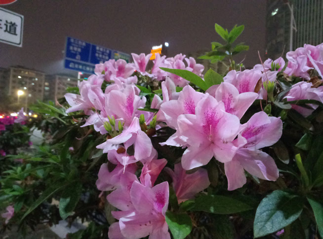 全面升級千元最強(qiáng) 魅藍(lán)note3體驗(yàn)評測