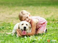 怕寵物走失？Poof幫你一秒定位汪星人！