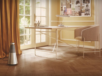 B&O兩款無線音箱發(fā)布 比藍(lán)牙不知道高到哪里去了